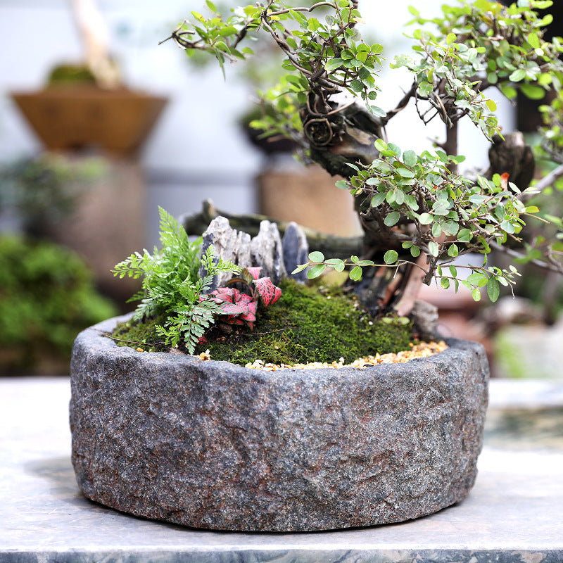 Gardening Simulation Stone Flower Bonsai