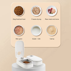 Smart Timer Food Dispenser
