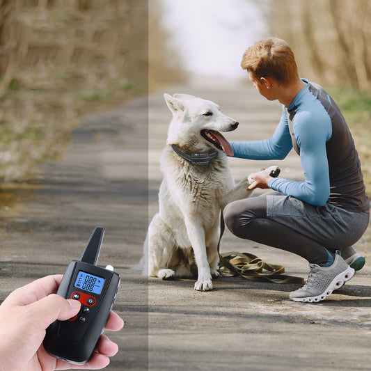 Rechargeable Anti-Bark Dog Collar