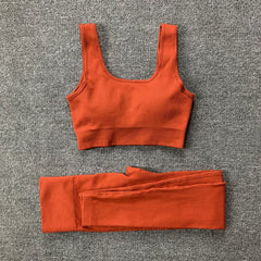 Seamless Yoga Set