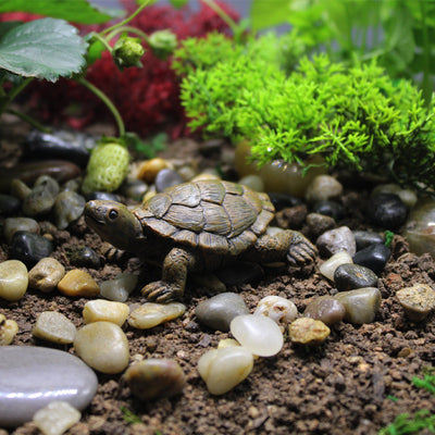 Micro Landscape Simulation Small Turtle Decoration Gardening Landscaping Decoration