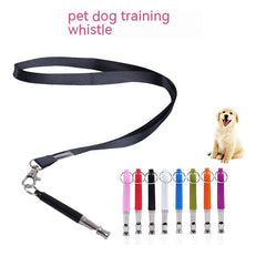 Professional Training Whistle