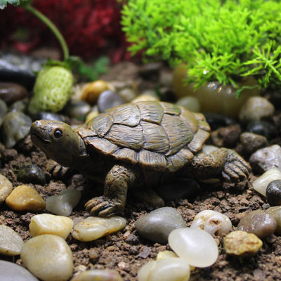 Micro Landscape Simulation Small Turtle Decoration Gardening Landscaping Decoration