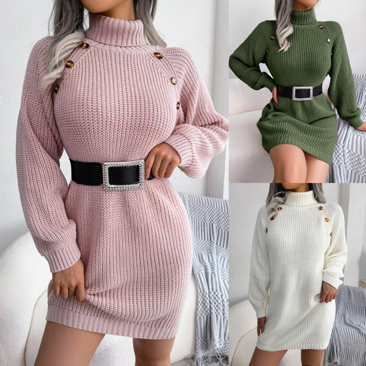 Cozy Winter Turtleneck Long Sweater Dress